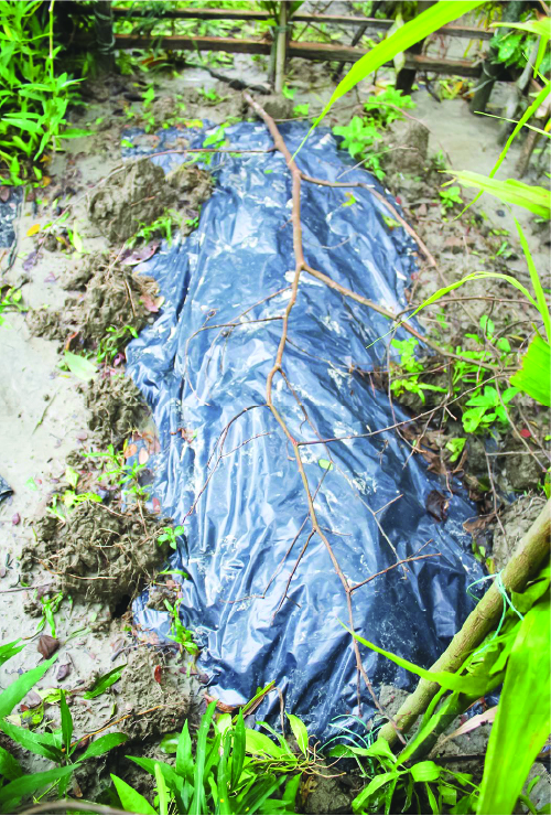 Image of মোহাম্মদ রনি